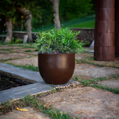 Elevate your garden with Newgarden's Camelia pots, designed for planting depth and durability. Enjoy a Mediterranean vibe in every season.