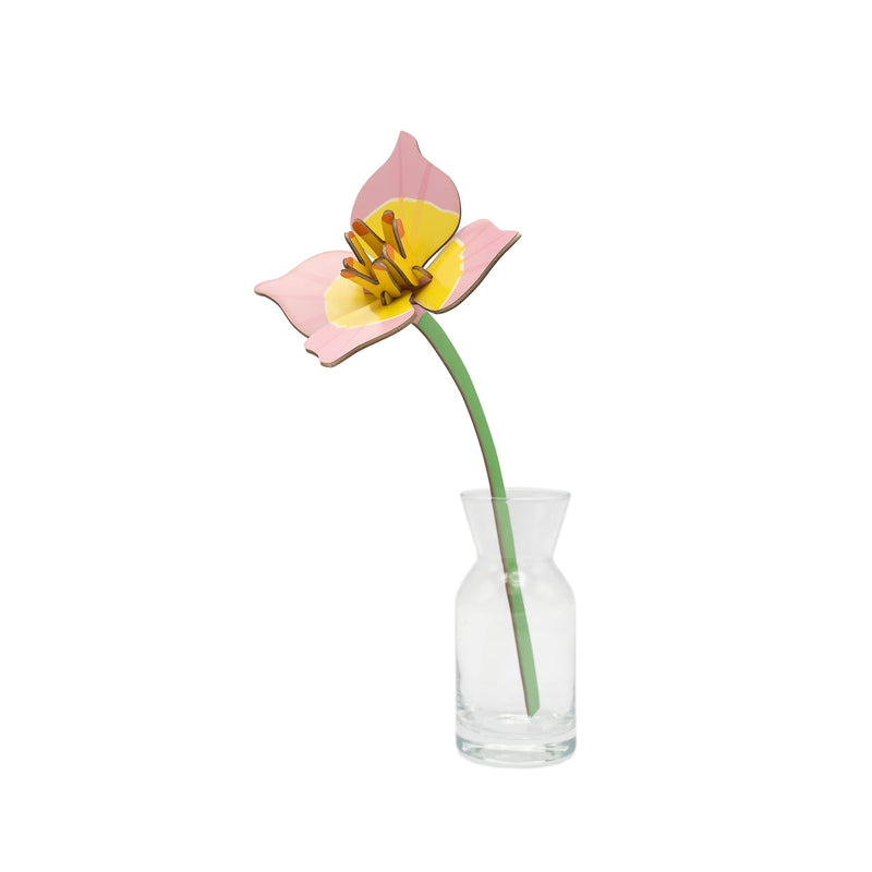 Lasting Bouquet