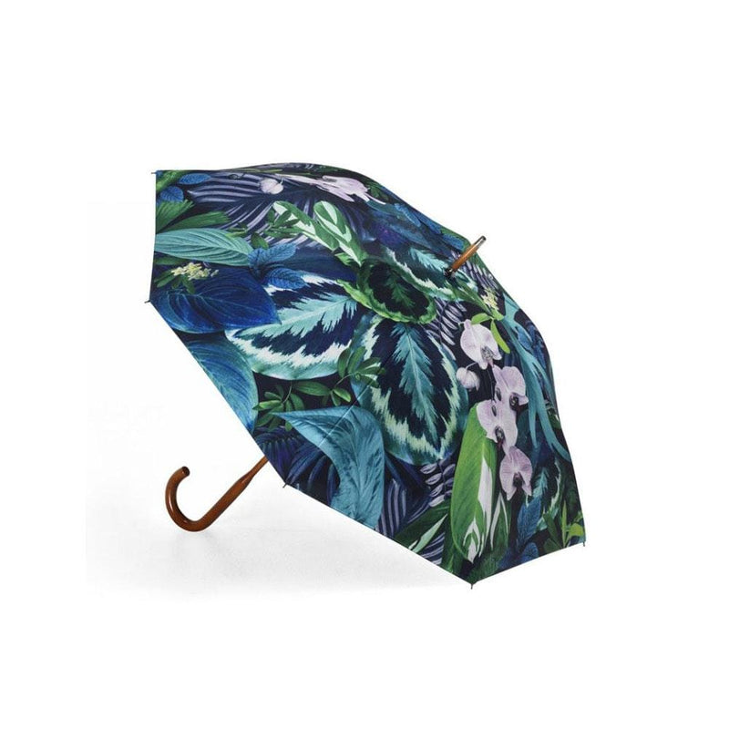 Rain Maple Botanica  -  Parasols & Rain Umbrellas  by  Basil Bangs